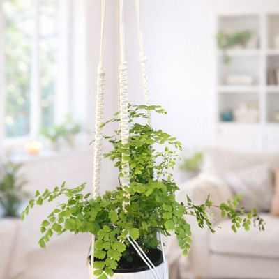 Macramé Plant Hanger Kit